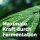 Fermentierter Chili-Knoblauch-Extrakt