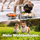 Mikrobiota Pets Liquid in Bio-Qualität - 250 ml