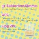 Mikrobiota Mundspray - Pfefferminz 50 ml