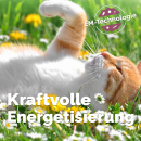 EM Keramik-Halsbänder - verstellbar - verschiedene...