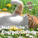 EM Keramik-Halsband Modell "Nellie" - verstellbar - grün-apfelsine 45-55 cm