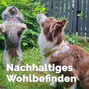 EM Keramik-Halsband Modell "Nelly" - verstellbar - grün-apfelsine 55-65 cm