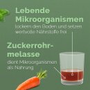 EM aktiv - Bodenhilfsstoff 5 Liter