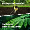 Pflanzenglück - veganer Volldünger 3 kg