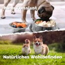 Mikrobiota Pets Liquid - Bio-Qualität - 250 ml *B-Ware