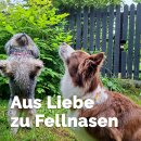 Mikrobiota Pets Liquid - Bio-Qualität - 250 ml *B-Ware