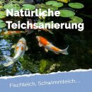 Zeolith grob 5-8 mm - 5 kg *B-Ware