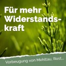 Acker-Schachtelhalm-Extrakt 500 Milliliter * B-Ware
