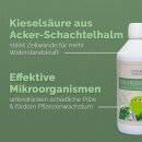 Acker-Schachtelhalm-Extrakt 500 Milliliter * B-Ware
