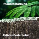 Acker-Schachtelhalm-Extrakt 500 Milliliter * B-Ware