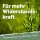 Acker-Schachtelhalm-Extrakt 500 Milliliter * B-Ware