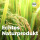 Bio-Reissirup - 1 Liter *MHD