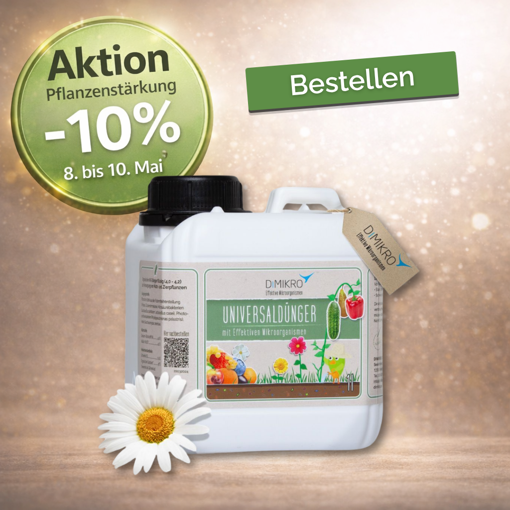 Aktion - starke Pflanzen