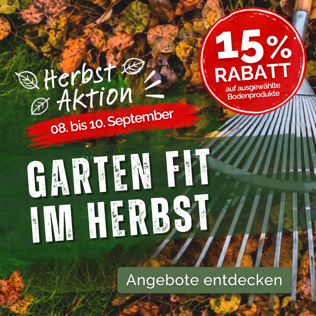 Herbst-Aktion