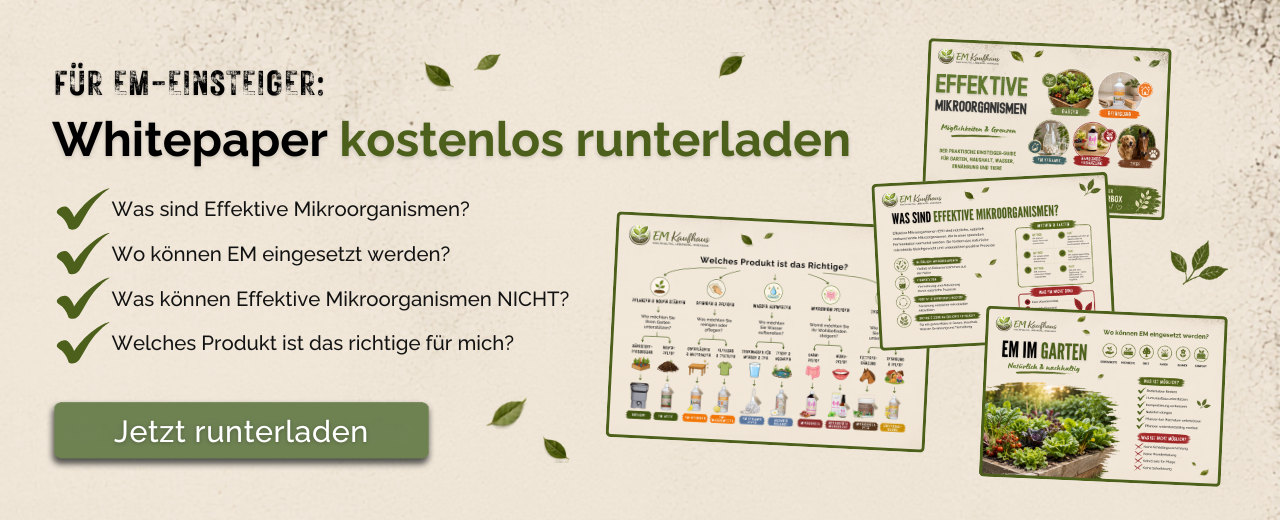 Kostenloses Whitepaper – jetzt anmelden