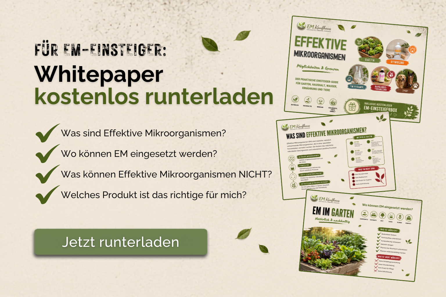 Kostenloses Whitepaper – jetzt anmelden